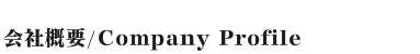 company profile