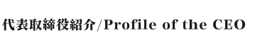 profile of the CEO